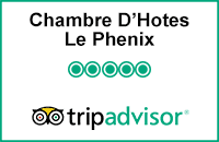 Tripadvisor avis